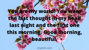 Cute, Sweet & Romantic Good Morning Messages For Her (5)